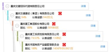 專業(yè)賦能，精確高效 重慶交建招標(biāo)代理有限責(zé)任公司招投標(biāo)代理服務(wù)解析
