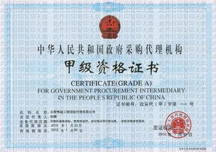 招標(biāo)代理公司的專業(yè)角色與服務(wù)解析